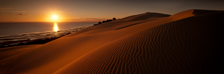Dune_Glow_Moreton_Island.jpg