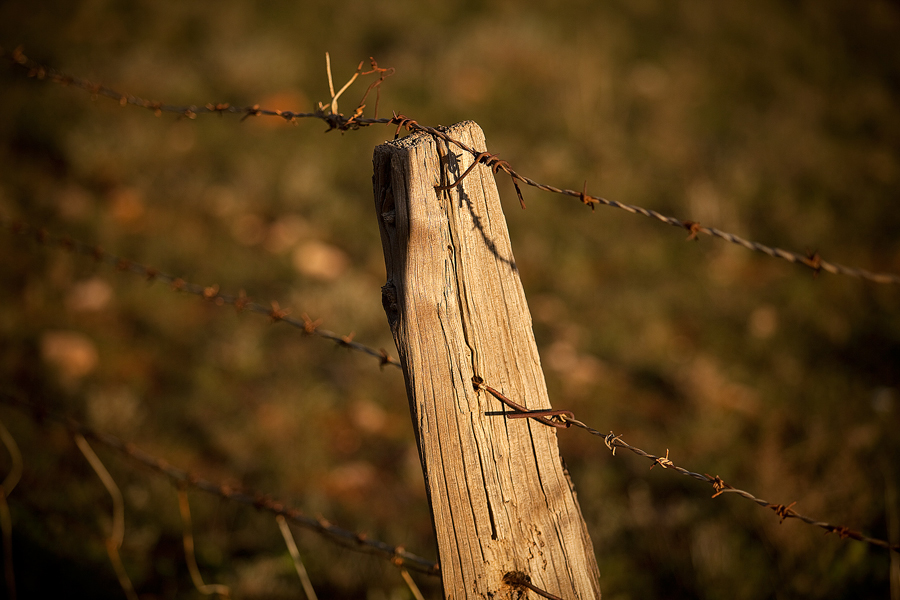 Fence_Post500.jpg