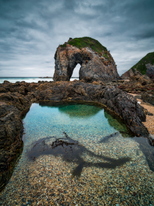 Horse_Head_Rockpool900.jpg