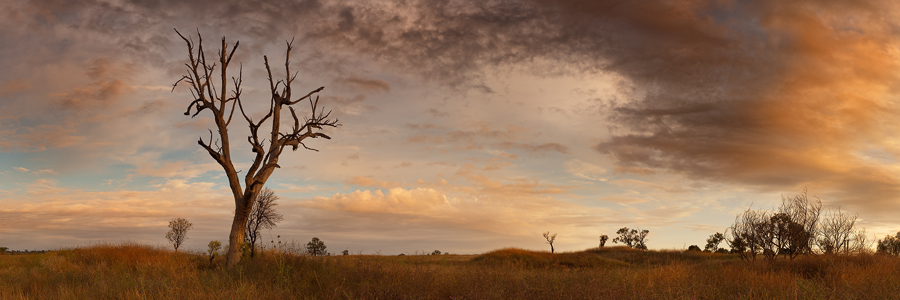Outback_Sunrise500.jpg