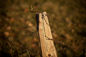 Fence_Post500.jpg