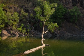 Gunlom_Falls_Kakadu.jpg