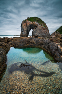 Horse_Head_Rockpool900.jpg