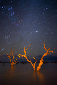 Menindee_Trails900.jpg