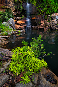 Rianbow_Falls900.jpg